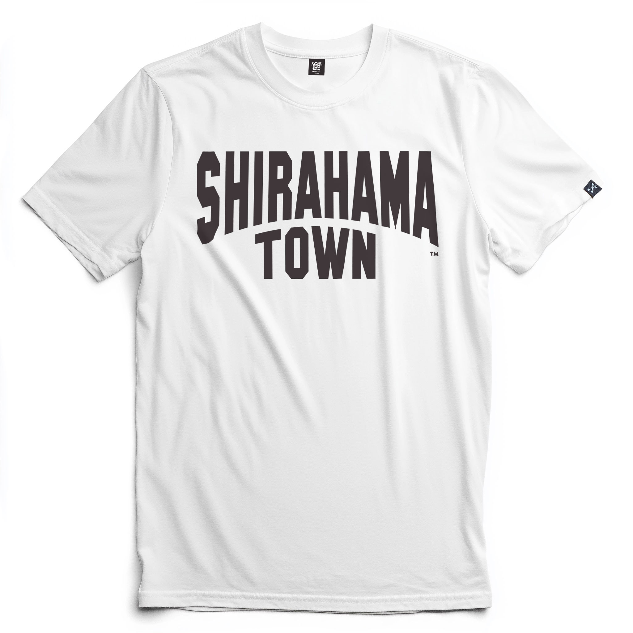 Shirahama Town